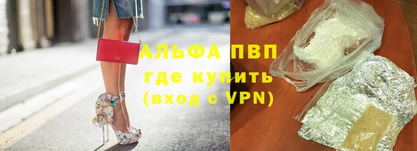 ГАЛЛЮЦИНОГЕННЫЕ ГРИБЫ Покров
