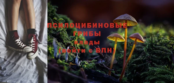 ГАЛЛЮЦИНОГЕННЫЕ ГРИБЫ Покров