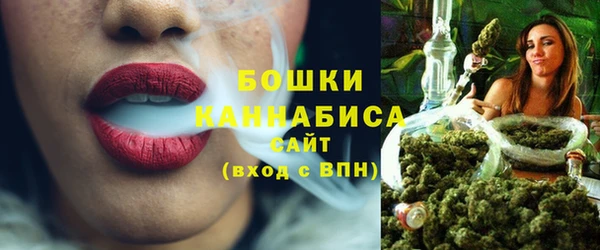 ГАЛЛЮЦИНОГЕННЫЕ ГРИБЫ Покров