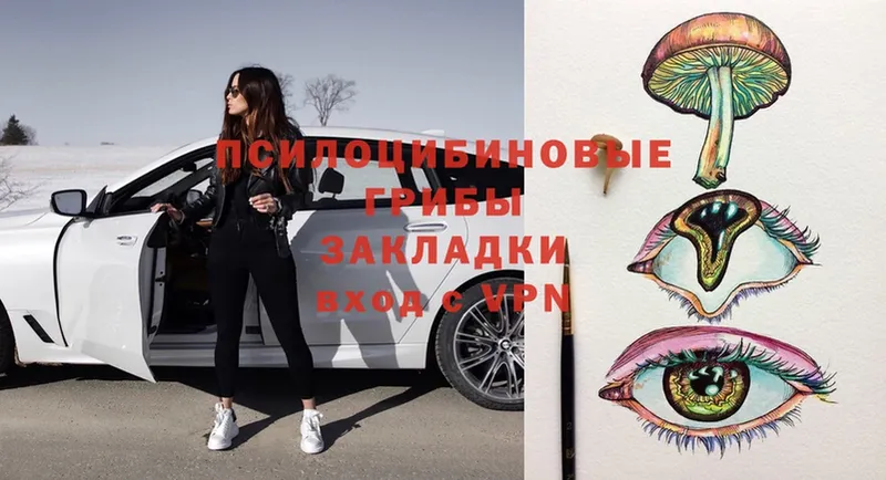 ОМГ ОМГ ТОР  Армянск  Галлюциногенные грибы ЛСД 
